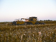 Ethanol’s Future: A Perspective