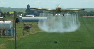 ‘Do I Spray Today?’