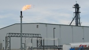 Biofuels Grow Up