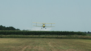 Sky High Aerial Work To Continue