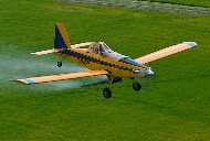 Your Choice, Air Or Ground