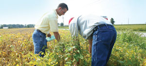 Weed Expert: Adding A Second Herbicide Not Always Easy