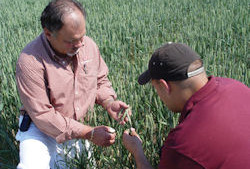 Research, Cost Sharing Among Topics To Be Discussed At 4R Workshop For Farmers, Retailers