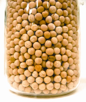GMO Pipeline Features Consumer Targeted Modifications