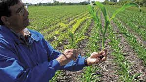 Fall Fertility 2014: Forecasting Fertilizer Use