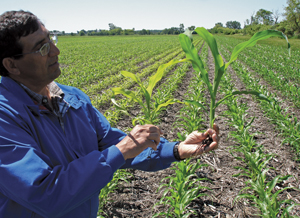 Fall Fertility 2014: Forecasting Fertilizer Use