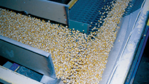 Global Seed Treatment Market To Nearly Double By 2018
