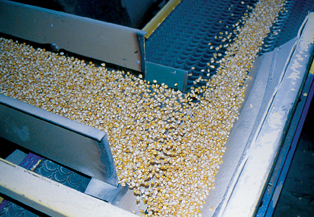 Global Seed Treatment Market To Nearly Double By 2018