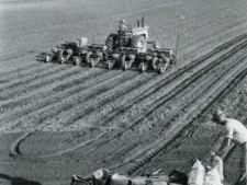 Eating Acres