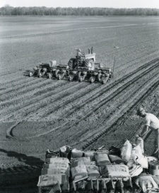 Eating Acres