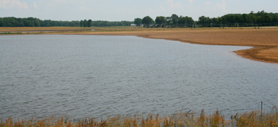 The Risky Business Of Fertilizer