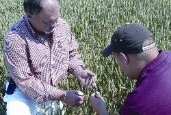 State Of The Industry: Ag Retailers Center Of Influence For Growers
