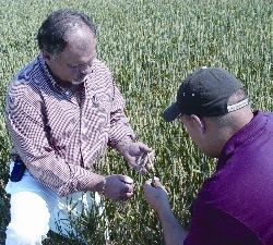 State Of The Industry: Ag Retailers Center Of Influence For Growers