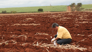 New Soil Testing Kit Designed To Help Farmers In Third World Countries