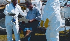 For Adjuvants, It’s A New World