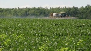 Adjuvants, Specialty Inputs Gain Ground