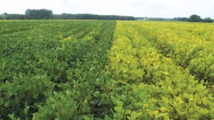 Monty’s Plant Food Hires New Sales Rep