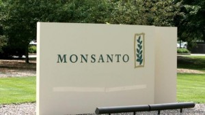 Monsanto: Presence Of RR Trait In Oregon Wheat Likely ‘Very Limited’