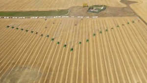 Micros Power Through Season