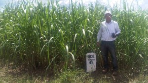 Micros Tools Take Off