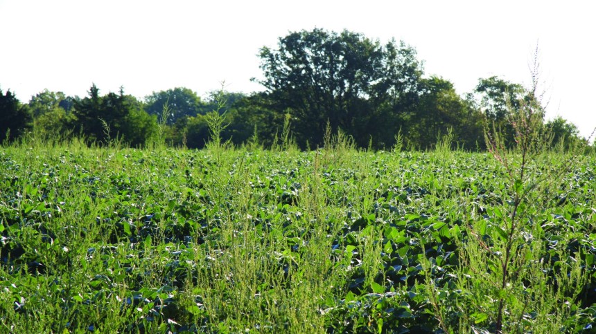 Integrated Farming Systems, Weed Resistance Among Top Concerns For Ag Retailers In 2013