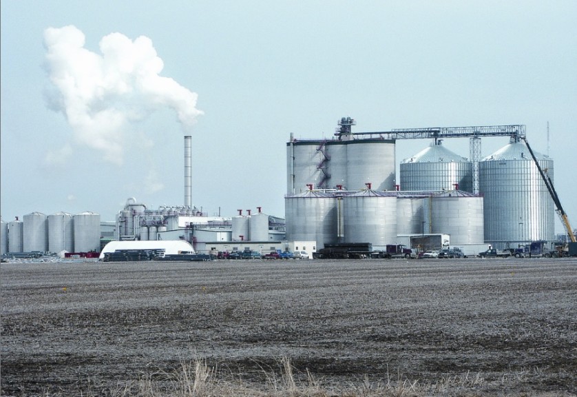 8. Ethanol & Biodiesel.