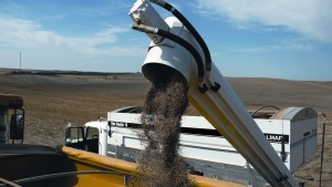 Green Lights Abound For Fall Fertilizer