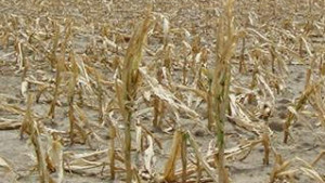 California Mega-Drought Spurs New Water Restrictions