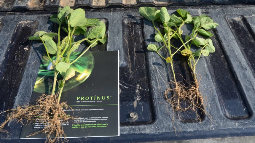 Micronutrients Battle Stress, Yield Loss