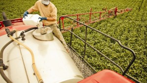 Adjuvant Industry Could Face Regulatory Dilemma