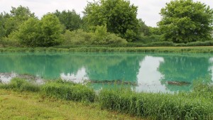 Report: Conservation Work Minimizes Sediment, Nutrient Runoff