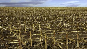 Improving No-Till