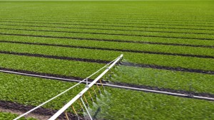Drift Control: Agriculture’s New Normal