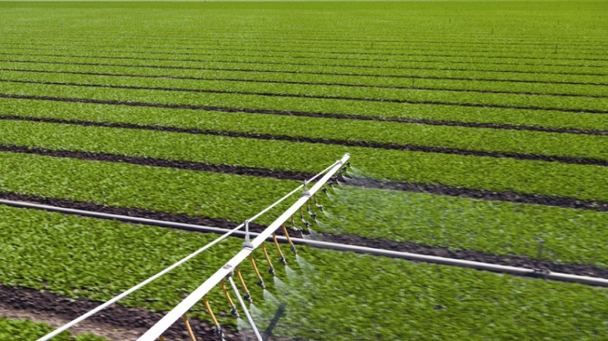 New Adjuvants Report Forecasts A Growing Market