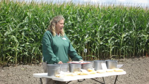 Agro-Culture Liquid Fertilizer: Research-Proven Results On Display