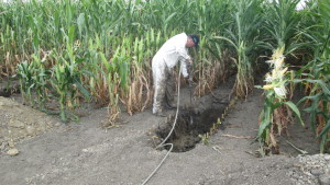 Nutrients For Life Engaging Middle Schools On Soil
