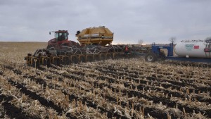 Strip-Tillage: A Sustainable Effort