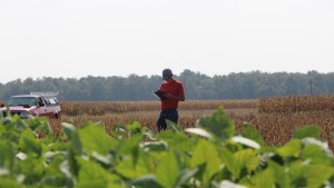 OSU: Soybean Cyst Nematode Expands Range