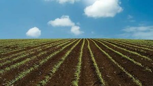 Commodity Classic, AG CONNECT Join Forces