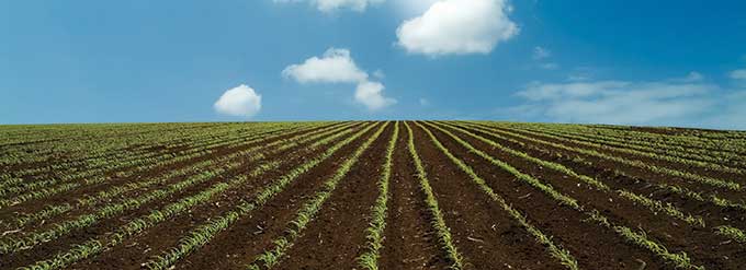 7 Keys To Delivering Effective Fertility Programs: #2 Analysis and Interpretation