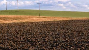 7 Keys To Delivering Effective Fertility Programs: #7 Scorecarding
