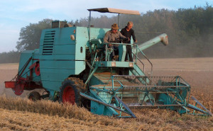7. The combine harvester, 1930s (No. 50 overall)