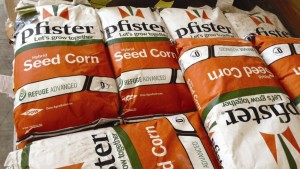 Seed Still Central