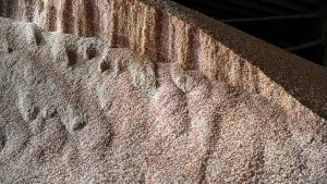 Ag Policy: Plenty Of Fertilizer Issues Ahead