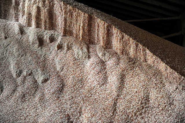 Monty’s Plant Food Brings In New Sales Rep