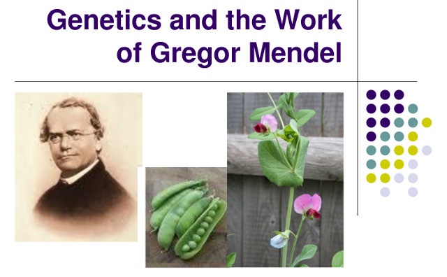 6. Scientific plant breeding, 1920s (No. 38 overall)