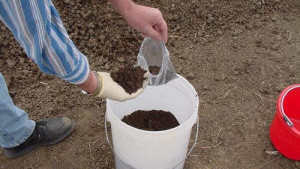 When To Sample Manure For Analysis