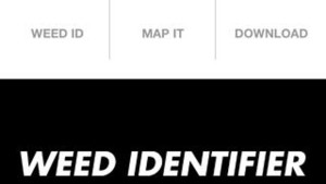 Monsanto Canada Unveils New iOS Weed I.D. App