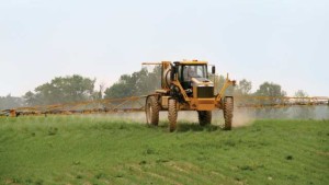 Getting Adjuvant Certified