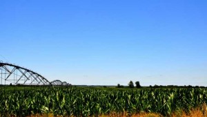 Economist: El Niño Could Benefit U.S. Agriculture